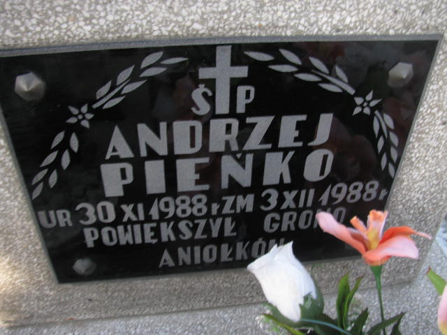 Andrzej Pieńko 1988 Łęczna - Grobonet - Wyszukiwarka osób pochowanych