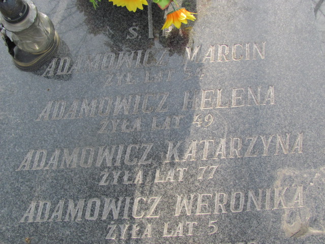 Weronika Adamowicz Łęczna - Grobonet - Wyszukiwarka osób pochowanych