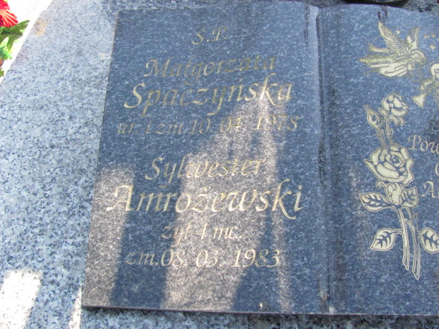 Sylwester Amrożewski Łęczna - Grobonet - Wyszukiwarka osób pochowanych